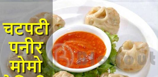 Paneer Momos