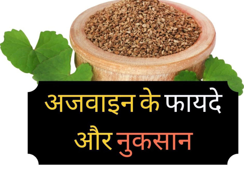 Ajwain Benefits And Side Effects