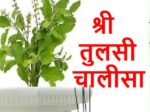Shri Tulsi Chalisa